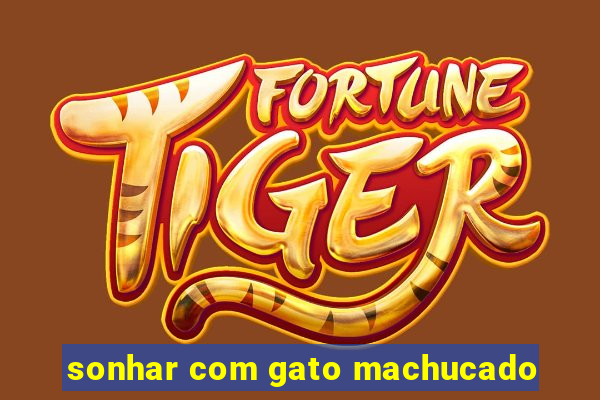 sonhar com gato machucado